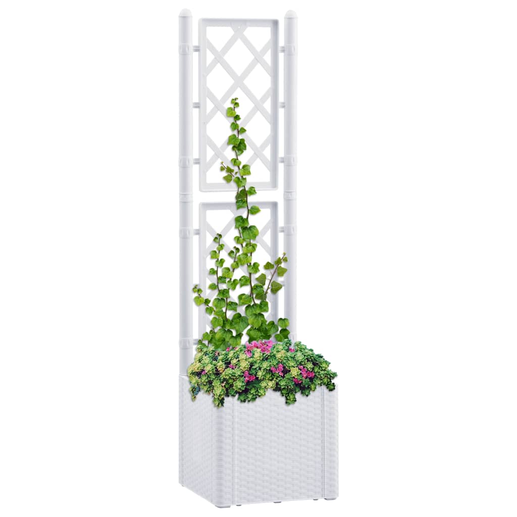 Garden Raised Bed With Trellis And Self Watering System