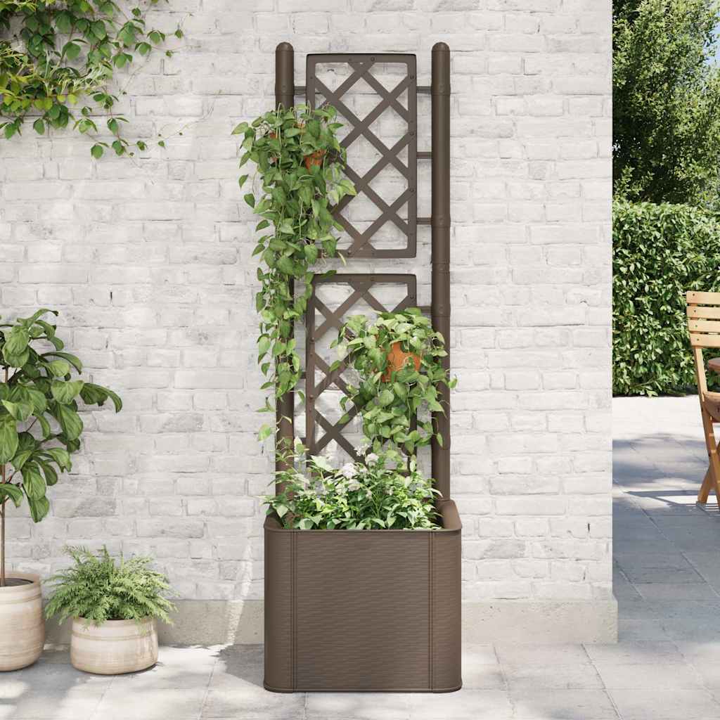 Garden Raised Bed With Trellis And Self Watering System