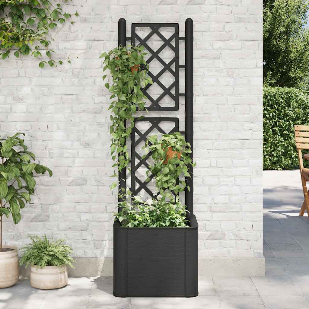 Garden Raised Bed With Trellis And Self Watering System