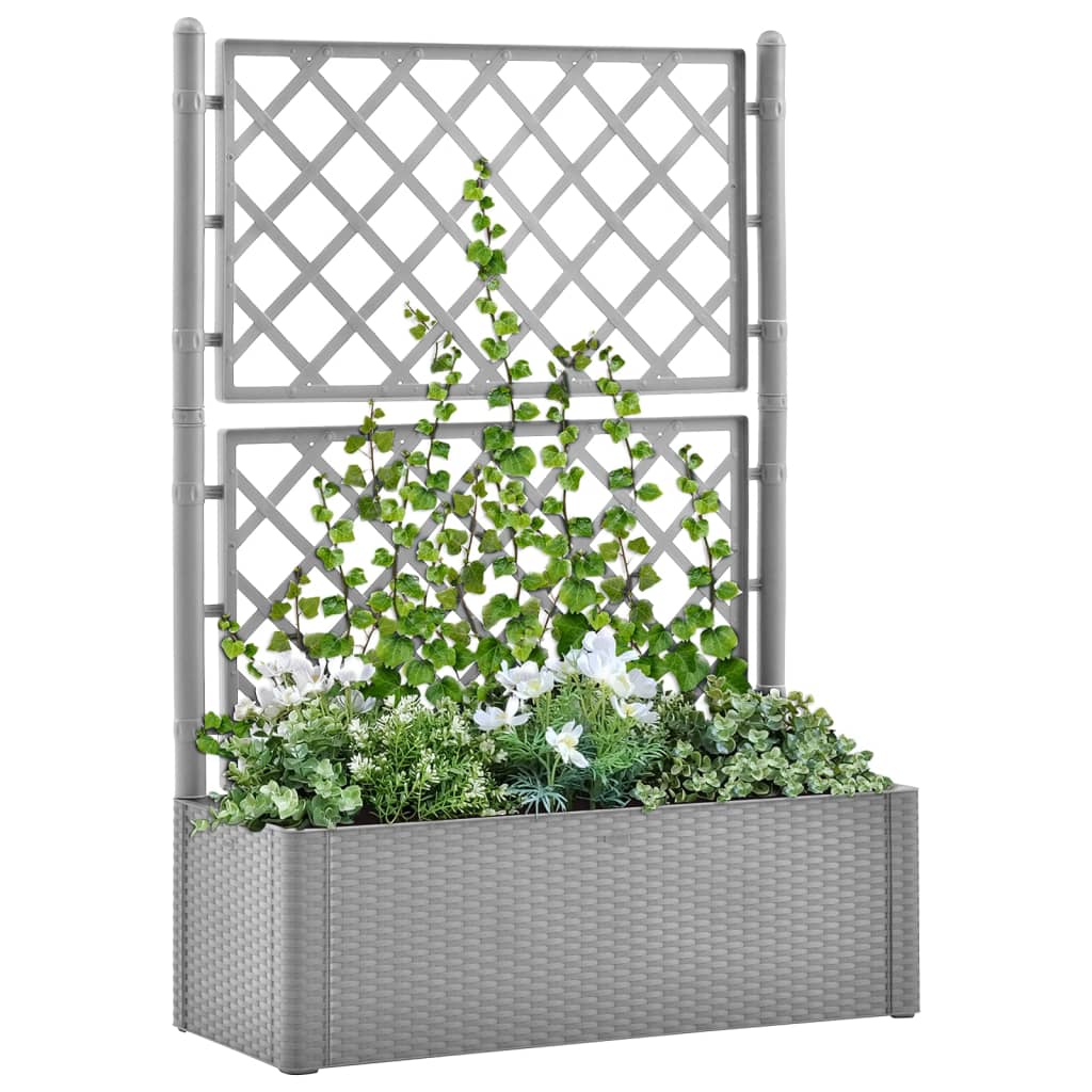 Garden Raised Bed With Trellis And Self Watering System