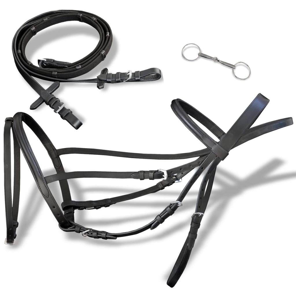 Leather Flash Bridle With Reins And Bit
