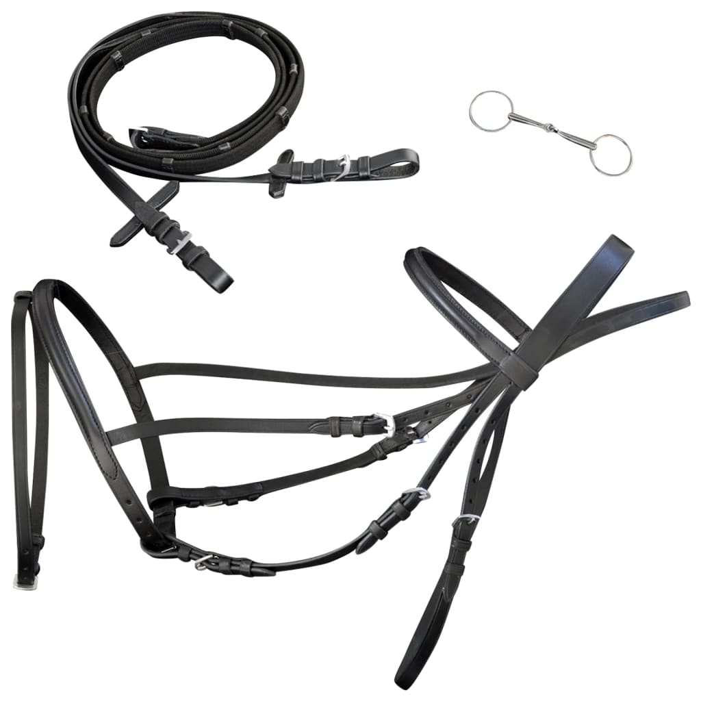 Leather Flash Bridle With Reins And Bit