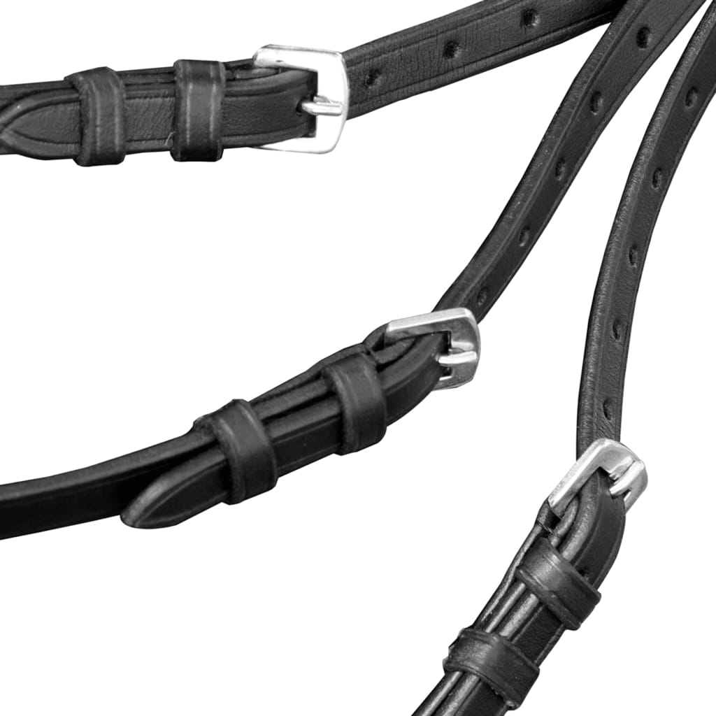 Leather Flash Bridle With Reins And Bit