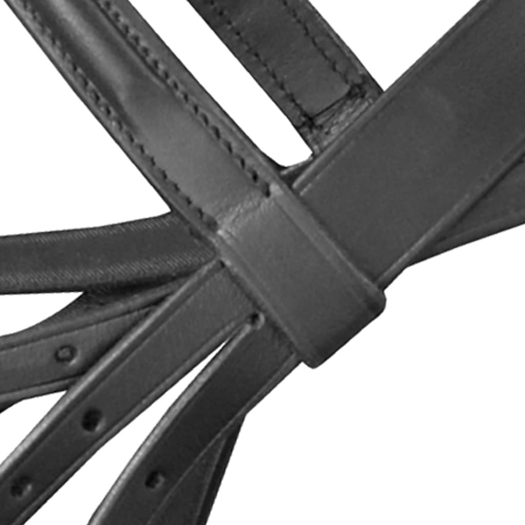 Leather Flash Bridle With Reins And Bit