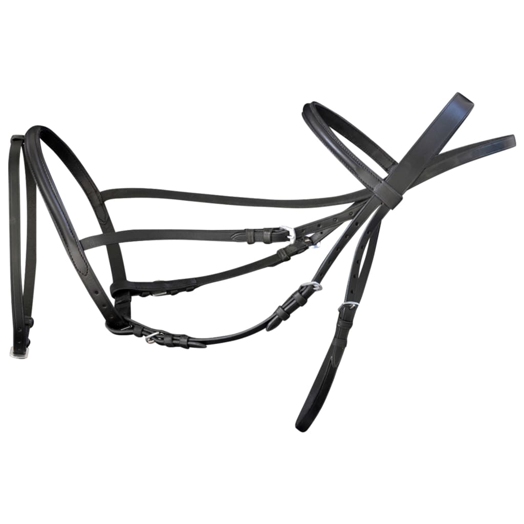 Leather Flash Bridle With Reins And Bit